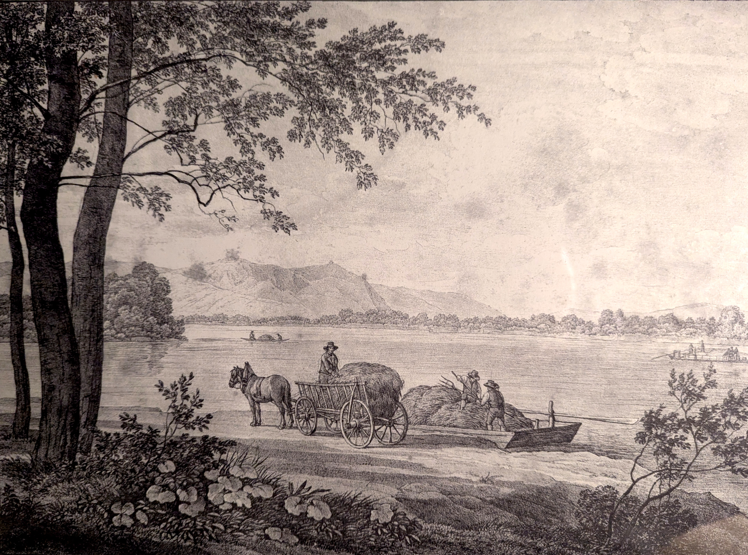 "Insel Lobau, Niederösterreich", um 1820